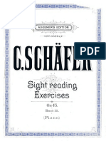 Schäfer Sight R. Exercises 3
