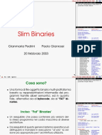 Slim Binaries 2003