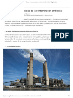 Causas y Consecuencias de La Contaminación Ambiental