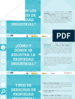 D. Propiedad Industrial