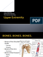 Upper Extremity