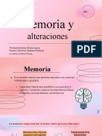 Memoria y Alteraciones