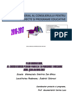 Plan Managerial 2016cconsilier Ed