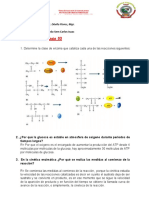 EJERCICIOS CINETICA ENZIMATICA BIOQUIMICA Trabajo Completo