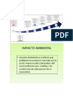 Daños Ambientaes y Social