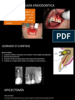 Diapositivas Seminario Endo