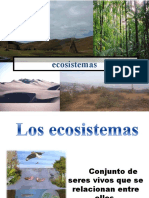 El-Ecosistemas Luis Angel