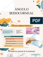 Ángulo iridocorneal: estructuras y graduación