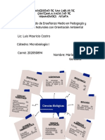 Mapa Mental Ciencias Biológicas