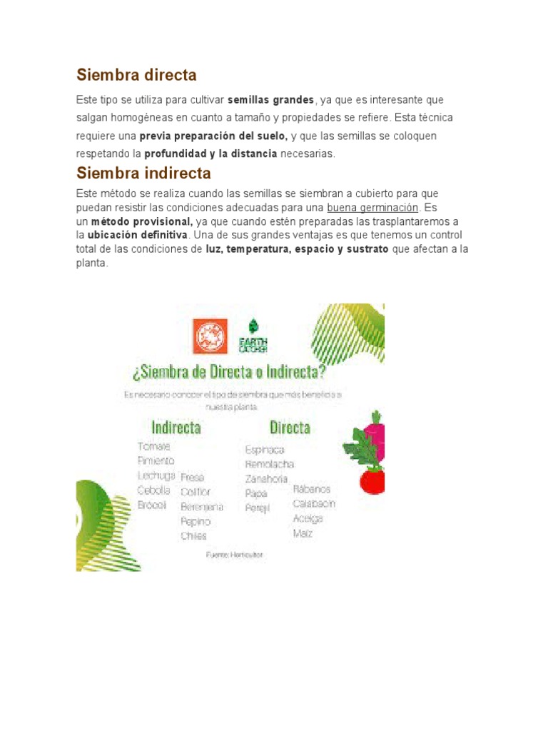 Siembra Directa | PDF | Tallo de la planta | Plantas