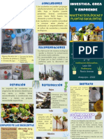 Folleto Catálogo Tienda de Plantas y Hogar Boho Azul