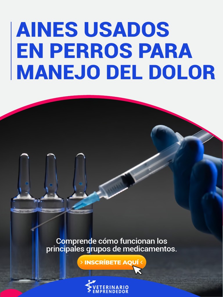 Información detallada sobre los principales AINES usados en perros para ...