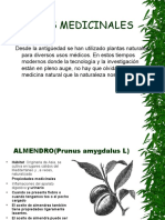 Tif1presen18 PlantasMedicinales