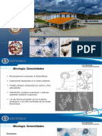 Clase 11. - Introducción A La Micología