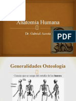 Anatomía - Osteología, Artrología, Miología, Huesos Del Torax - Dr. Gabriel Acosta