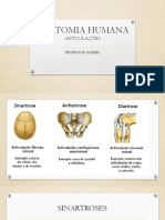 Aula 4 14.12 - Anatomia Humana - Articulações