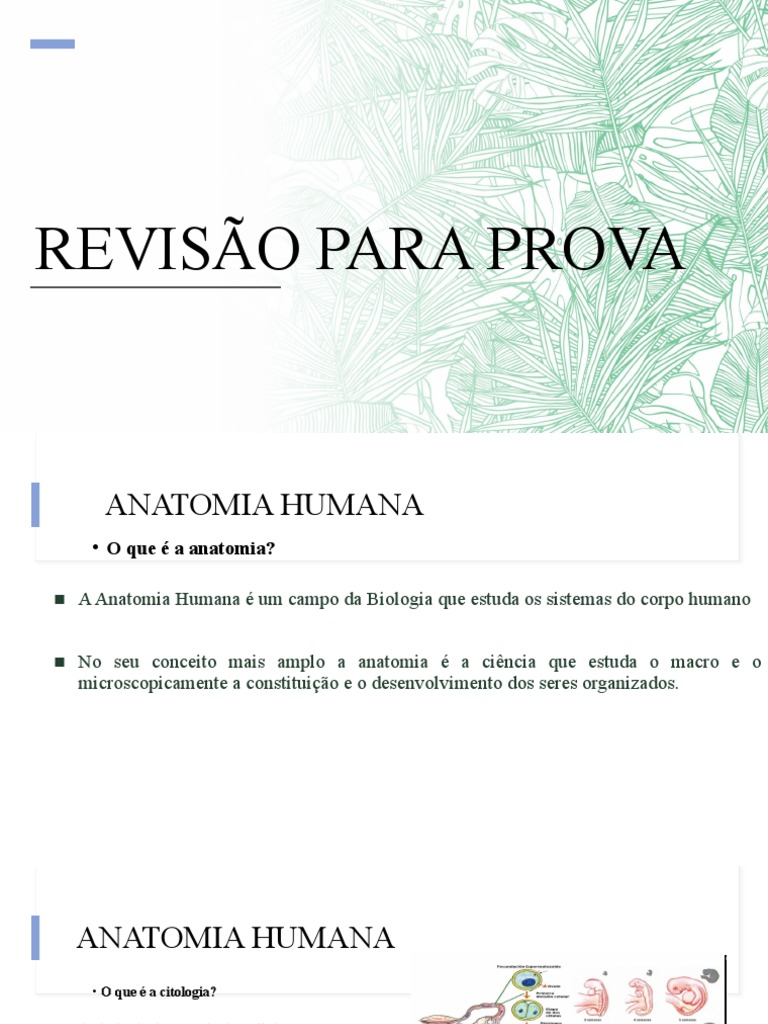 Aula 5 21 12 Revisão Para Prova Anatomia 1 Pdf Osso Músculo