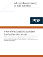 Como Afecta El Viento La Composición y Producción