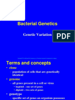 Bacterial Genetics