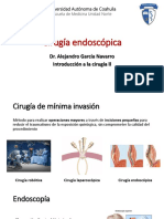 Cirugía Endoscópica