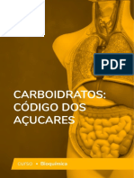 Carboidratos como moléculas informativas: o código dos açúcares