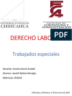 Trabajos Especiales