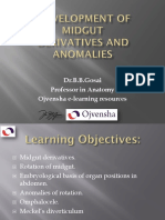 18 - Development of Midgut-Derivatives and Anomalies