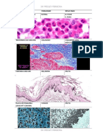 Técnicas histoquímicas e imunohistoquímicas comuns