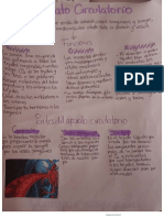 Mapas Mentales Anatomia