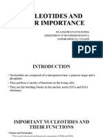 Nucleotides & Their Importance