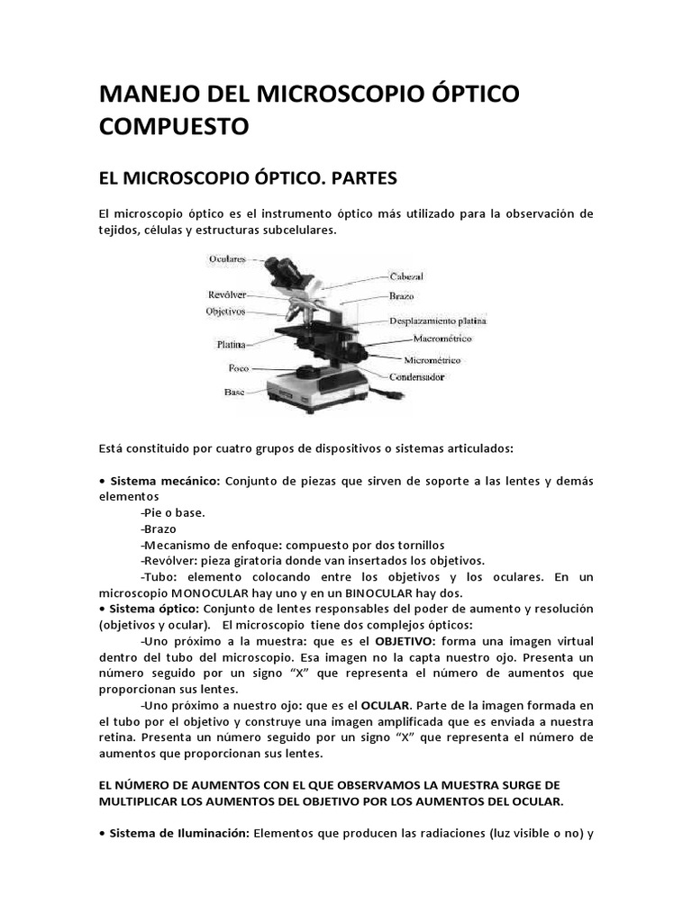 Aumentos en el Microscopio Óptico | PDF | Lente de la cámara | Óptica
