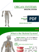 Skeletal System