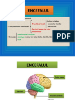 ENCEFALUL