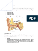 Anatomi Dan Fisiologi Sistem THT (Telinga)
