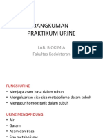 Rangkuman Praktikum Urine