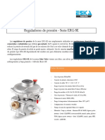 B 10 Informacion-Tecnica-Serie-ERG-SE