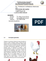 Produccion de Aves Capitulo Iii: Escuela Académica Profesional de Medicina Veterinaria Ciclo de Estudios IX