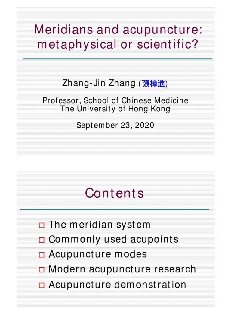 The Meridian System An Overview of Traditional Chinese Medicine's Conception of Energy Pathways