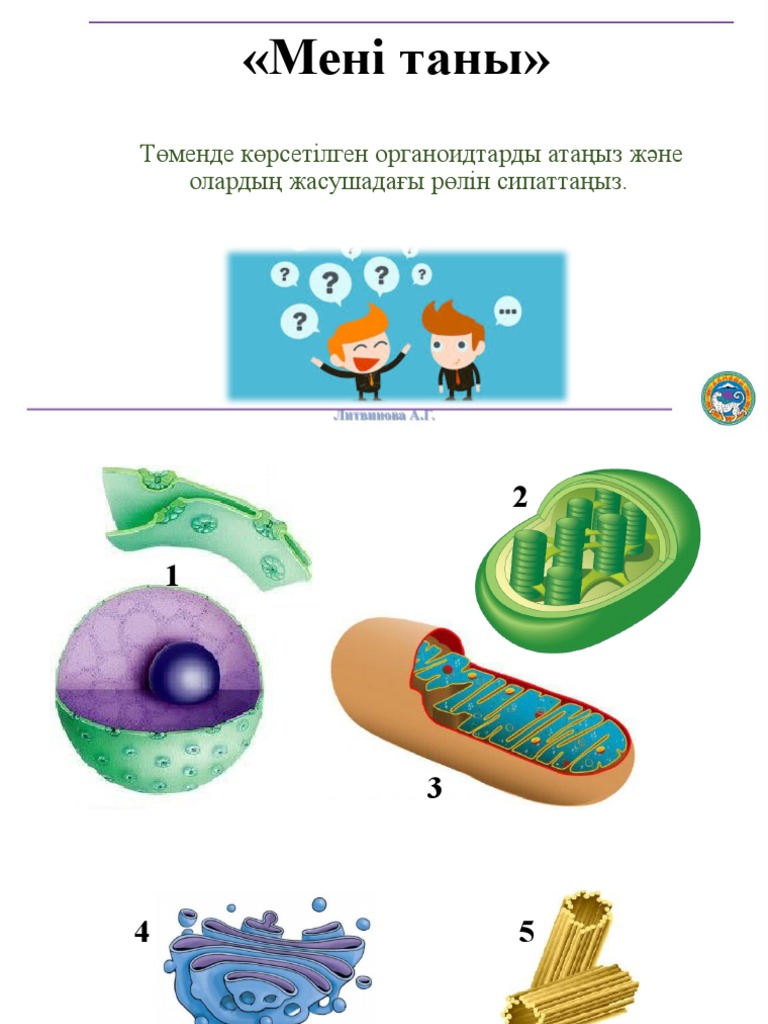 Аудармасы жоқ эротикалық фильмдер