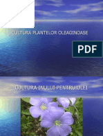 Cultura Plantelor Oleaginoase Inul