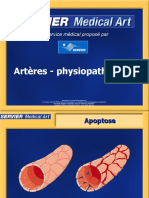 Physiopathologie - Artères