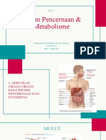 LTM DK 4 - Sistem Pencernaan & Metabolisme - Yanaminuzal Z.H.Y