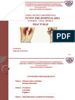 Anatomia