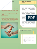 Leaflet Partus Pramaturus