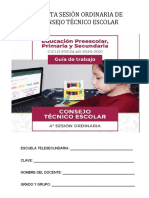 Formatos Sesion 4 Cte