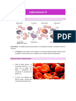 Laboratorio - 6 - Tejido - Sanguineo CORREGIDO