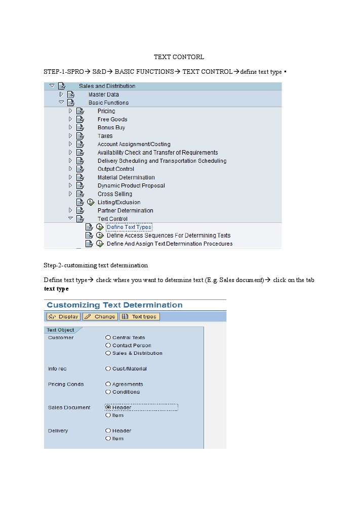 SAP Text Control Guide | PDF | Computers