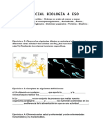 Prueba Inicial Bio 4 Eso