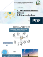 Neuro Tema 1
