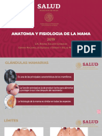 5. Anatomia de la mama
